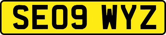 SE09WYZ