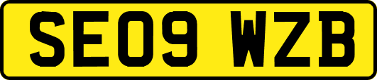 SE09WZB