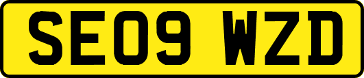 SE09WZD