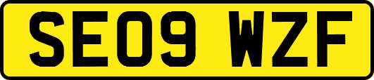 SE09WZF