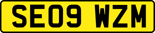 SE09WZM