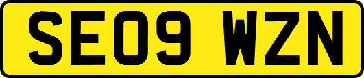 SE09WZN
