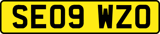 SE09WZO