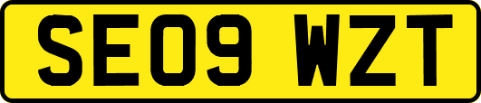 SE09WZT
