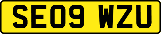 SE09WZU