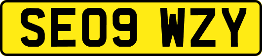 SE09WZY