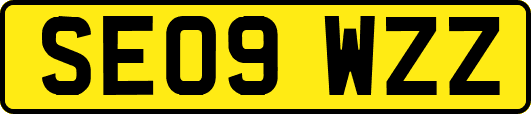 SE09WZZ
