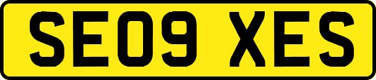 SE09XES