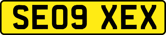 SE09XEX