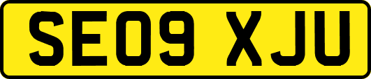 SE09XJU