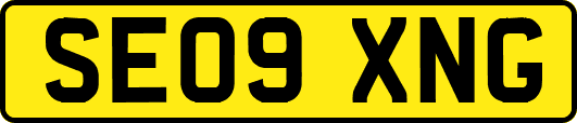 SE09XNG