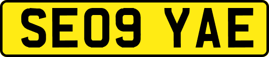 SE09YAE
