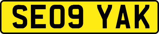 SE09YAK