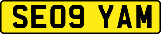 SE09YAM