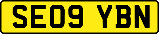 SE09YBN