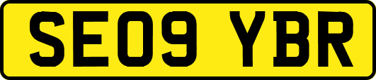 SE09YBR