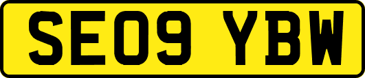 SE09YBW