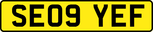SE09YEF