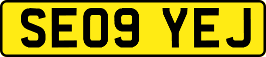 SE09YEJ