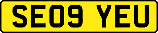 SE09YEU