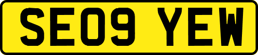 SE09YEW