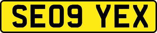 SE09YEX