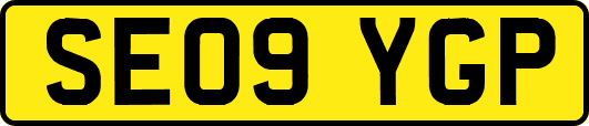 SE09YGP