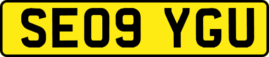 SE09YGU