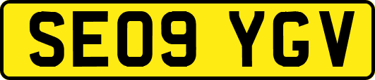 SE09YGV