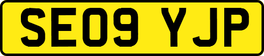SE09YJP