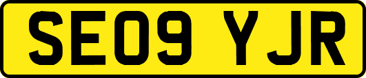 SE09YJR