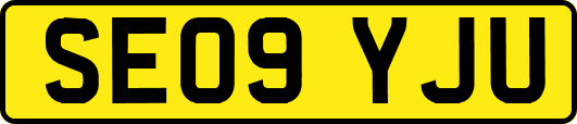 SE09YJU