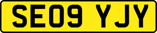 SE09YJY