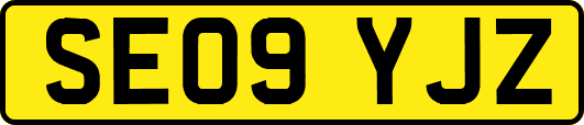 SE09YJZ
