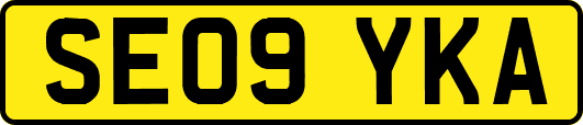 SE09YKA