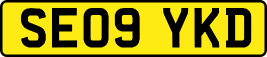 SE09YKD