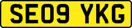 SE09YKG