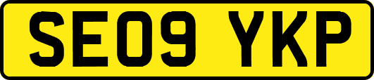 SE09YKP