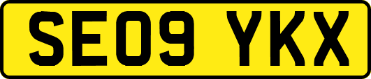 SE09YKX
