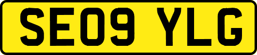 SE09YLG