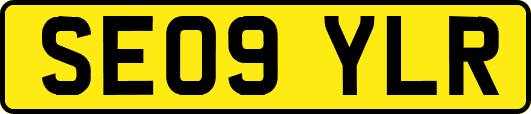 SE09YLR