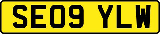 SE09YLW