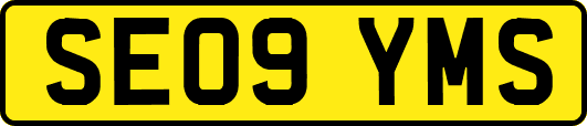 SE09YMS