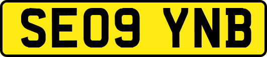 SE09YNB