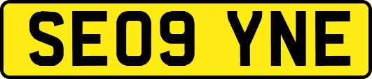SE09YNE
