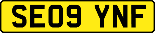 SE09YNF