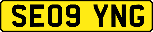 SE09YNG