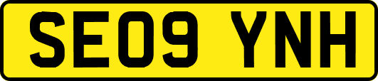 SE09YNH