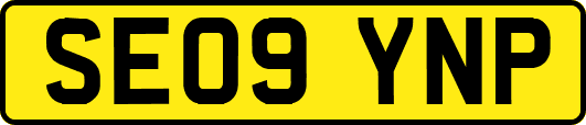 SE09YNP