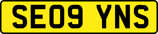 SE09YNS